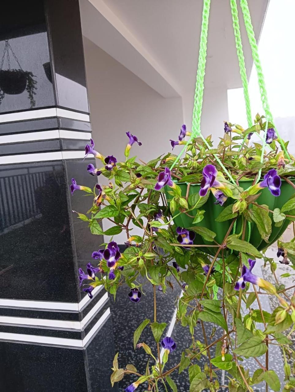 Bro Code Marayoor Villa Maraiyur Exterior photo